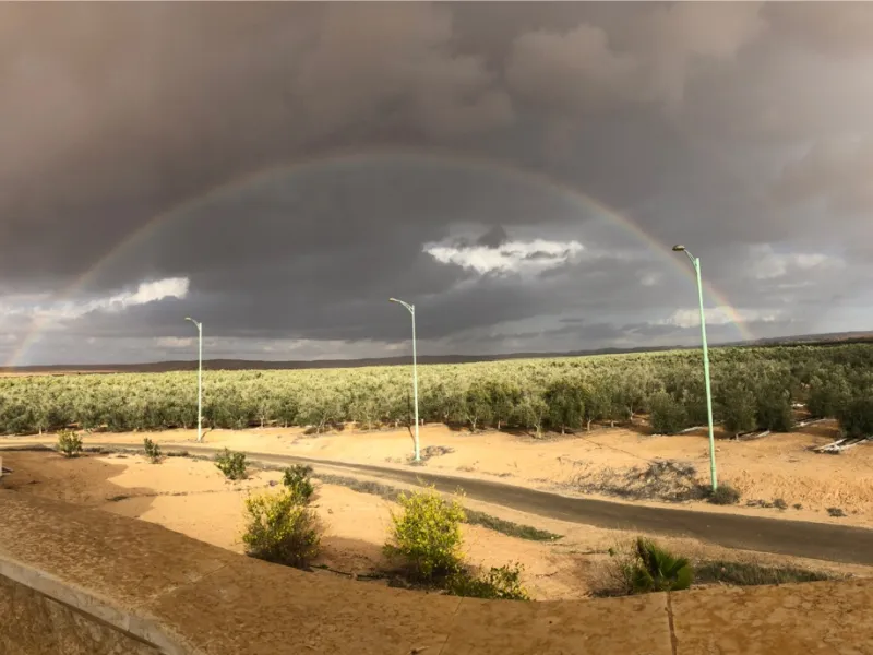 rainbow over plantations